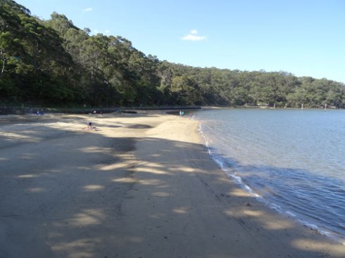 The beach at Oatley Park is a gorgeous place.