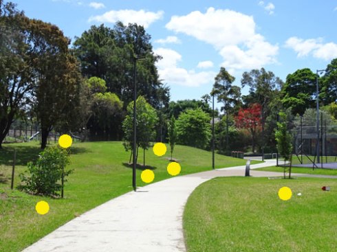The yellow dots show what I believe are newly planted trees.  Good one Marrickville Council.